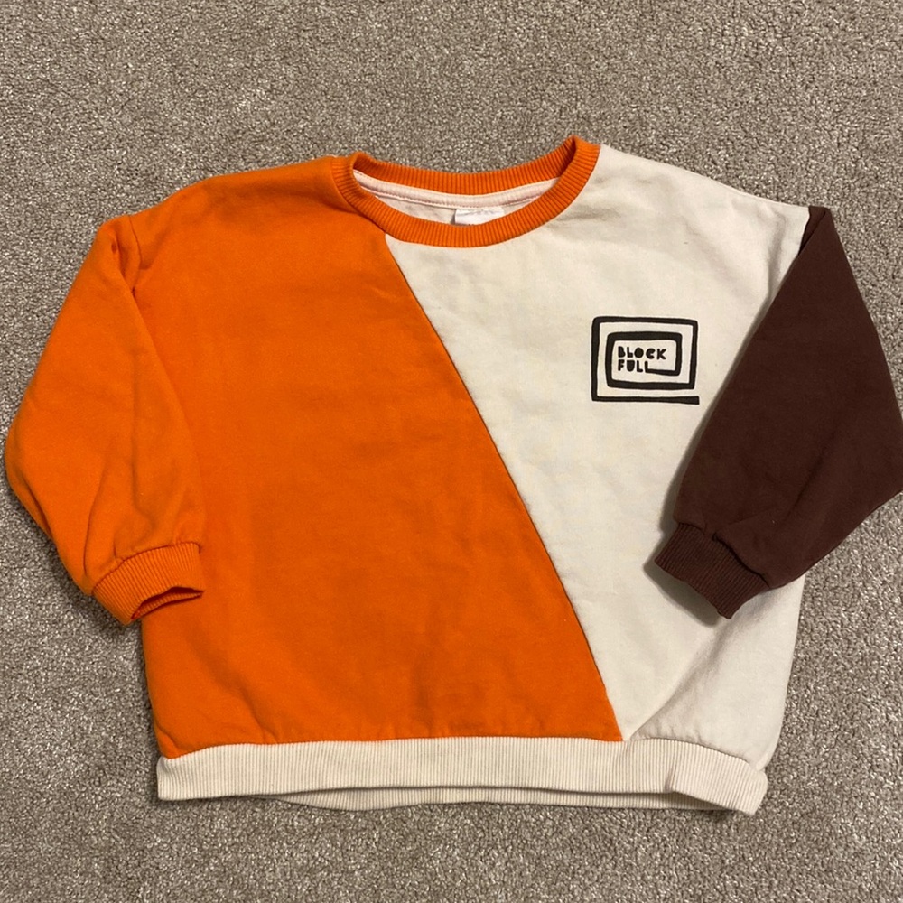Zara Color Block Sweatshirt